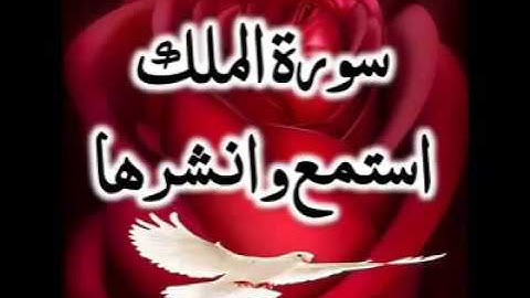 السورة التي تنجي من عذاب القبر و تشفع لقارئها يوم القيامة.