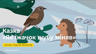 Аудіоказка «Як їжачок шубу міняв» | Читає: Сергій Філатов