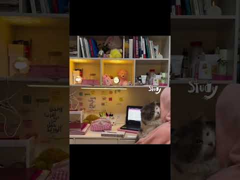 ضاقت فلما استحكمت حلقاتها فرجت تحفيز ترند