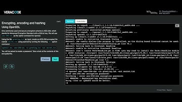 Veracode Security Labs demo