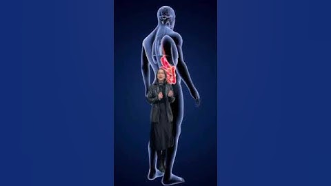 How your organs heal after quitting alcohol #Alcohol #Health