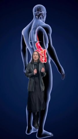 How your organs heal after quitting alcohol #Alcohol #Health