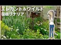 宿根リナリアの育て方や特徴を紹介するアニメ【植物編-55】