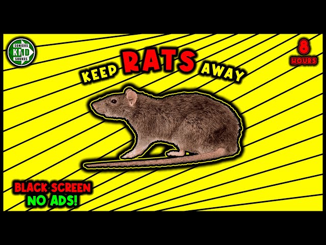 ANTI RATS REPELLENT SOUND 🚫🐀 KEEP RATS AWAY - ULTRASONIC SOUND class=