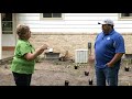 PYG: Rain Gardens - What are Rain Gardens?