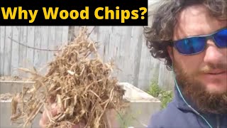 Why you need WOOD CHIPS in your raised bed garden
