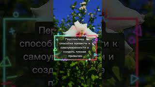 Нехватка знаний опасна #14июля #философия #стоицизм