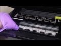 Epson PX Printer - How to unclog the Print Head