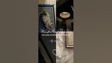 #قرآن #تلاوة_خاشعة #راحة_نفسية #الشيخ #ياسر_الدوسري #مصر #foryou #fyp #fypシ #viral