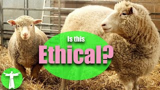 Is Cloning Ethical?