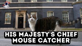 Cat Larry: His Majesty's chief mouse catcher | Outside Views