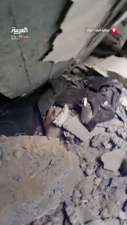              
 - نشر قبل 9 دقيقة