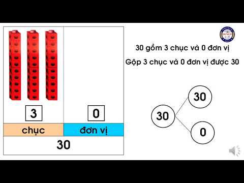 Lớp 1 TOÁN Chục đơn vị