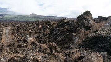 "Live Jam August 2021" - Moog Matriarch & Subsequent 37