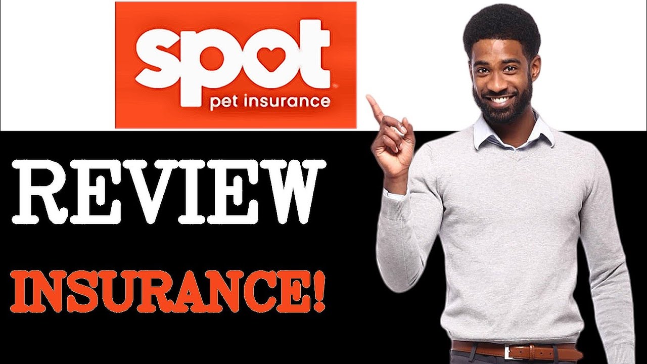 Обзор Spot Pet Insurance (2025)