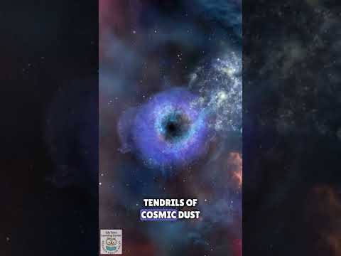 Exploring the Cosmic