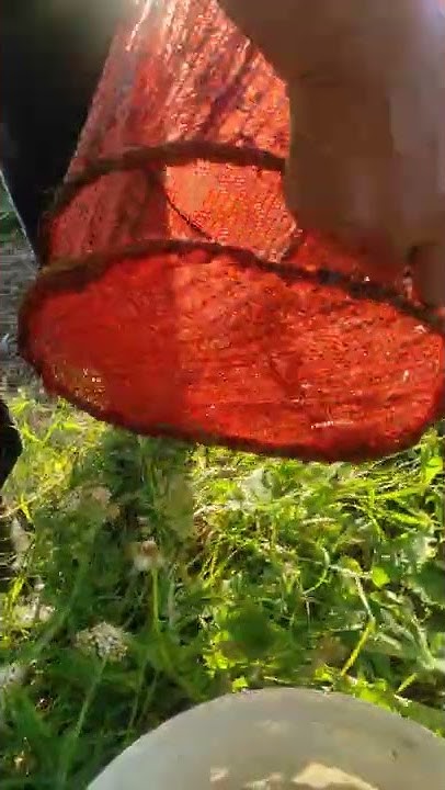 Ловля живца на "морду" ч.2. Самодельная снасть "морда". Catching small ...