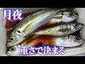 仕事帰りの月夜のアジング。ジグヘッドの重さをローテしたらどうなった？