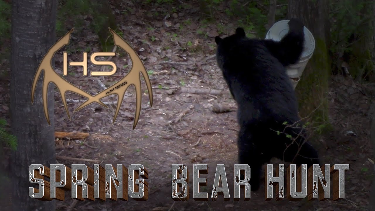 Quebec Spring Bear Hunt HUNT SERIES YouTube