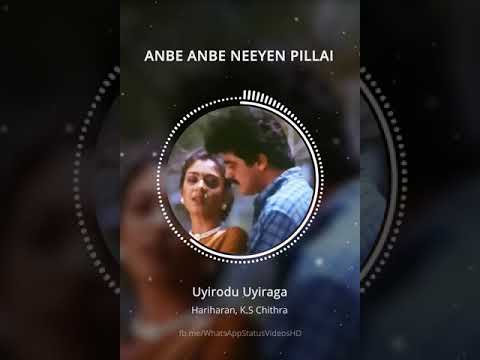 Anbe Anbe Neeyen Pillai - Uyirodu Uyiraga - WhatsApp Status Videos HD