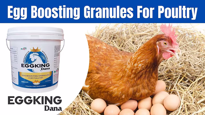 Egg King - Egg Boosting Calcium Granules For Poultry