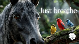 Relaxing Horse Riding Journey | Piano Music & Natural Ambience #ambientmusic #horselove #horsevideo screenshot 5