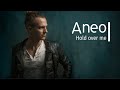 Aneo - Hold over me (2024)