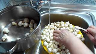 КАК И ЧЕМ ПОМЫТЬ ШАМПИНЬОНЫ КАК И ЧЕМ ПОМЫТЬ ШАМПИНЬОНЫ