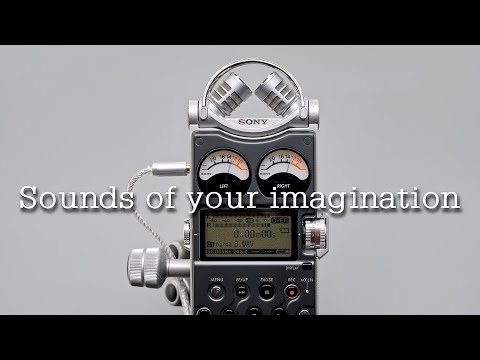 These vintage camera sounds are basically ASMR