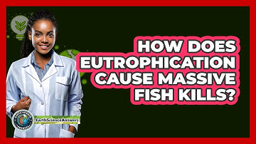 How Does Eutrophication Cause Massive Fish Kills? - Earth Science Answers