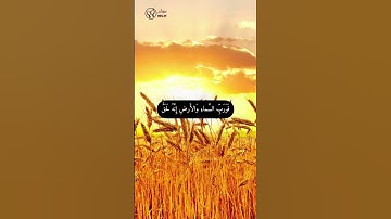 وَفِى السَّماءِ رِزقُكُم وَما توعَدونَ  /آيات من سورة الذاريات / القرآن الكريم | مسلم MUSLIM
