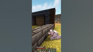 🍂 Episode 15 // Part 16 - Logger