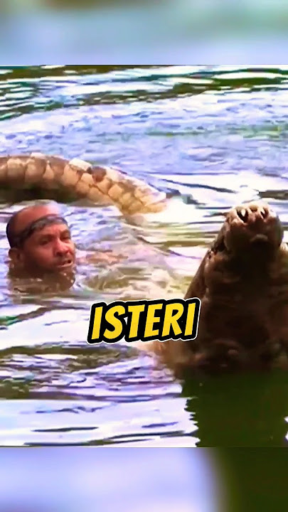 Selamatkan Buaya 😱 Isteri pula jadi Mangsa