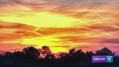 Signs of autumn in the PhotoLink Library