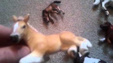 video-2012-07-24-20-21-41.mp4