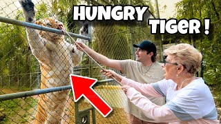 MY GRANDMA FEEDS LIONS AND TIGERS ! WHAT HAPPENS ?! by Landon Scherr 15,481 views 1 month ago 17 minutes