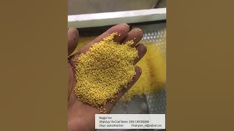 Millet processing equipment,combined millet mill machine,small millet mill machine,millet polisher