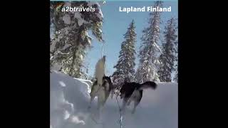 A2B Travels ~ Lapland Finland shorts