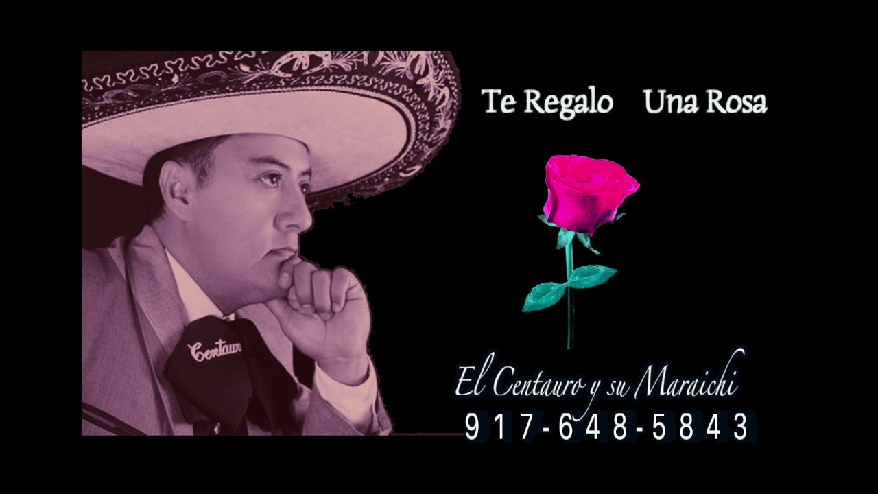 Read more about the article Canciones de boda de mariachis en East Elmhurst Ny 917648 5843