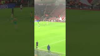 Saints v WBA goal celebration pt3 #football