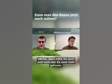 Kann man den Rasen jetzt noch mähen? 😲 allett liberty mähen 