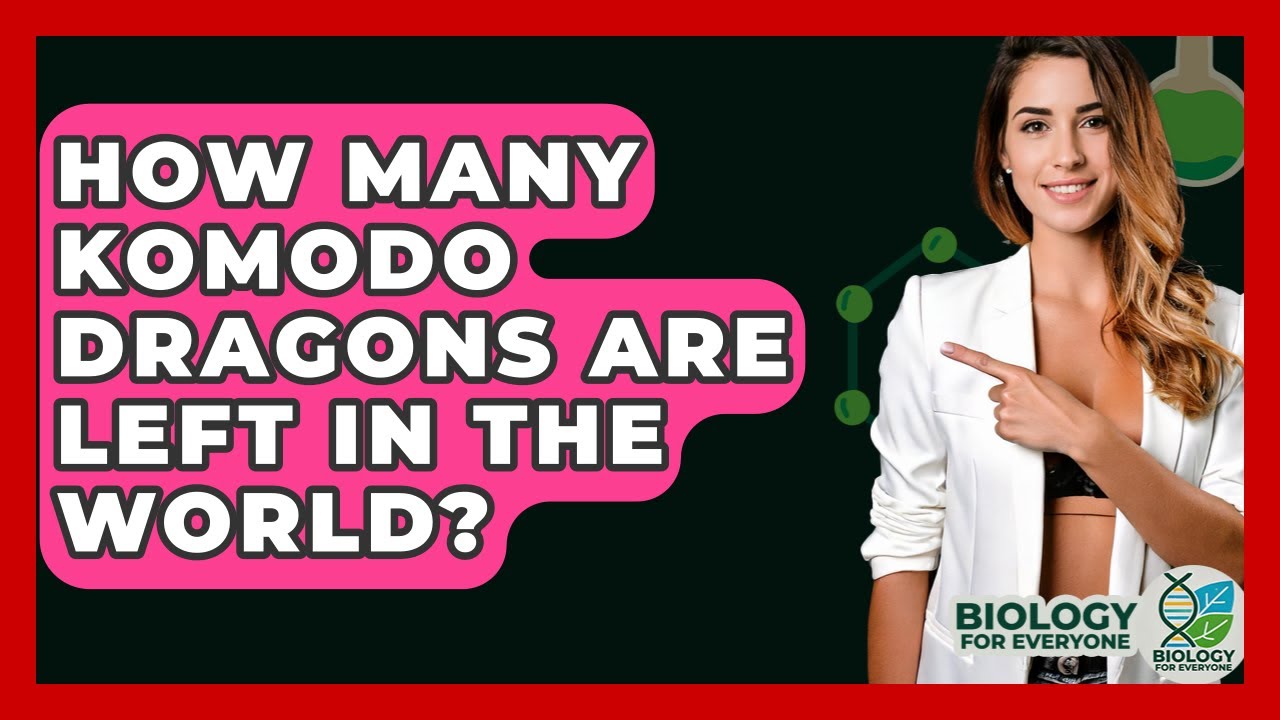 How Many Komodo Dragons Are Left In The World? - Biology For Everyone