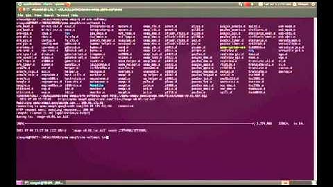 Tenet Technetronics: working of QEMU emulator for Beagleboard