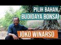 Cara memperbesar batang bonsai di ground dari berbagai macam ukuran bahan bersama bapak joko winarso