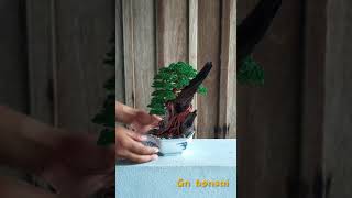 บอนไซไม้ประดิษฐ์เกาะไม้gn bonsai