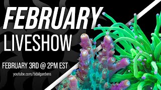 Tidal Gardens February 2024 Live Show
