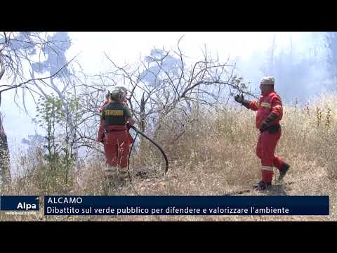 Alcamo, dibattito sul verde pubblico per difendere e valorizzare l'ambiente