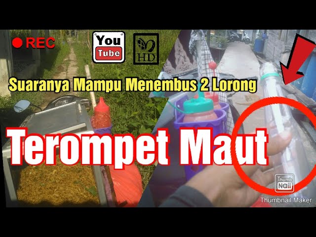 Terompet Maut Suaranya Mampu menembus 2 Lorong class=