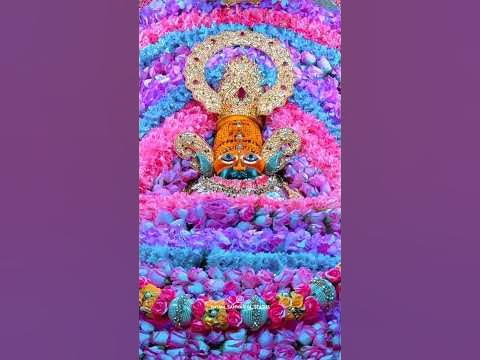 shyam baba holi