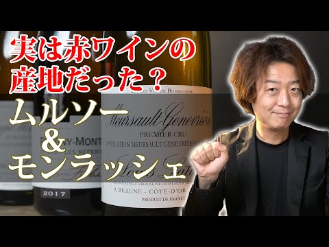 ムルソー、ピュリニーモンラッシェ、シャサーニュモンラッシェの違い